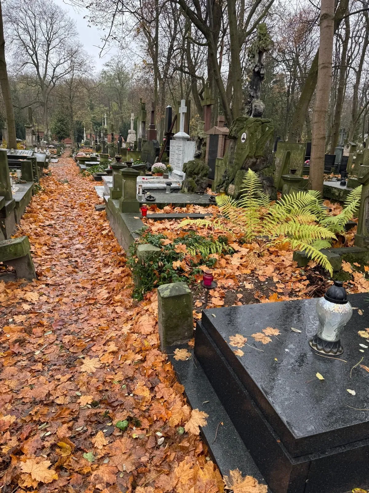 Szkolne Koło Wolontariatu