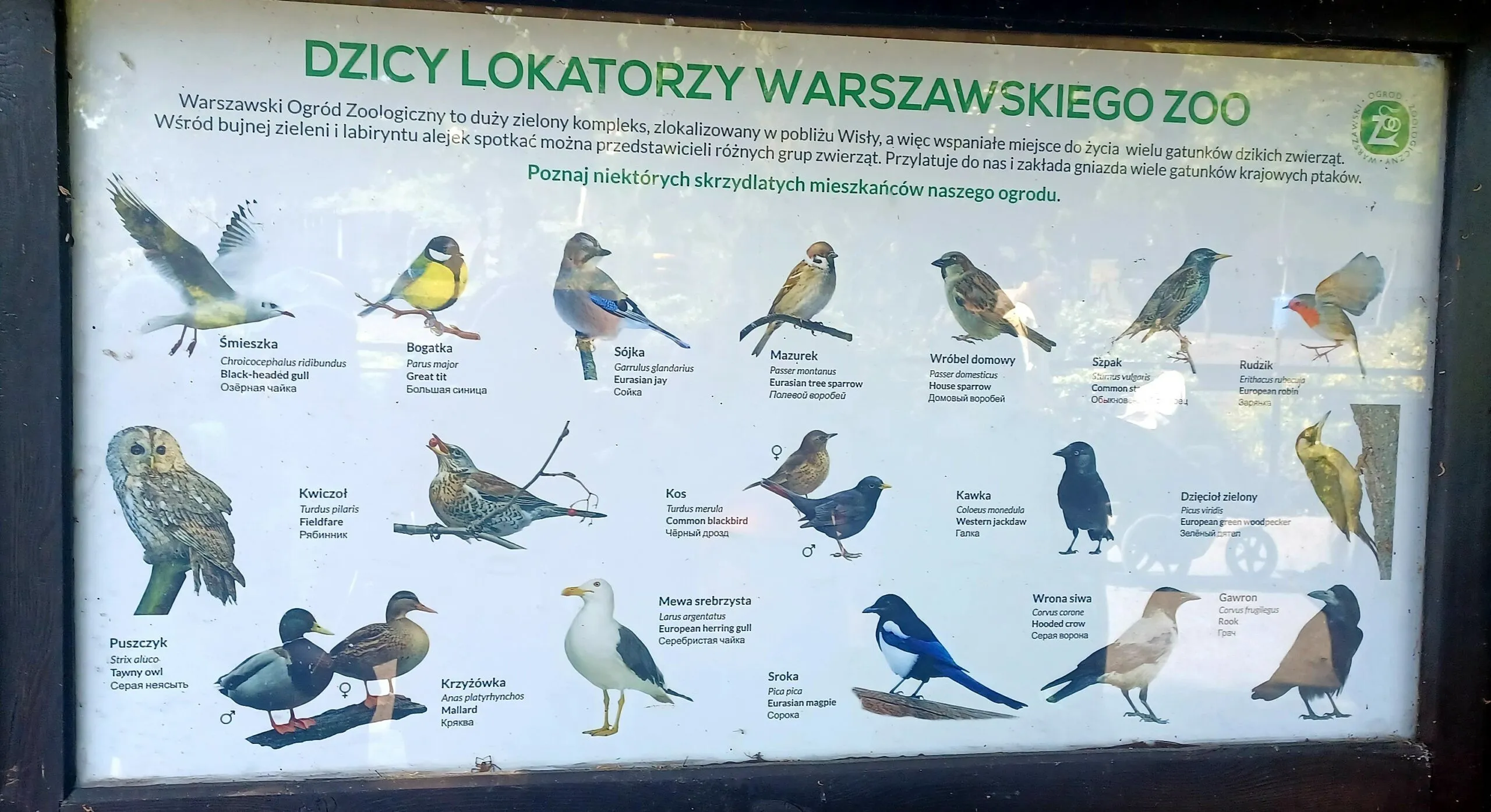 Innowacja pedagogiczna